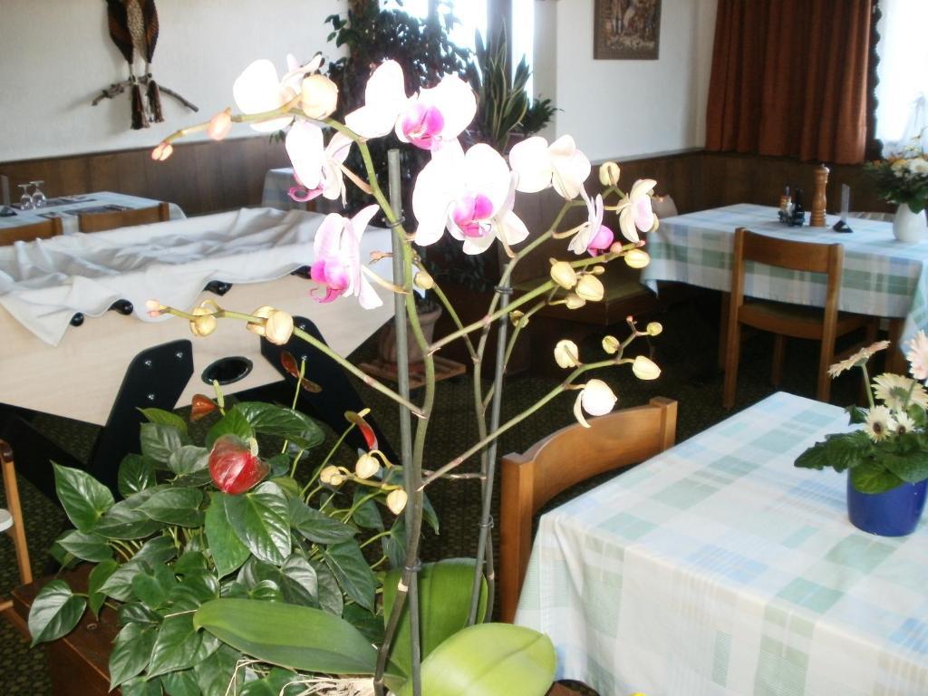 Hotel Pez Ault Disentis Bagian luar foto