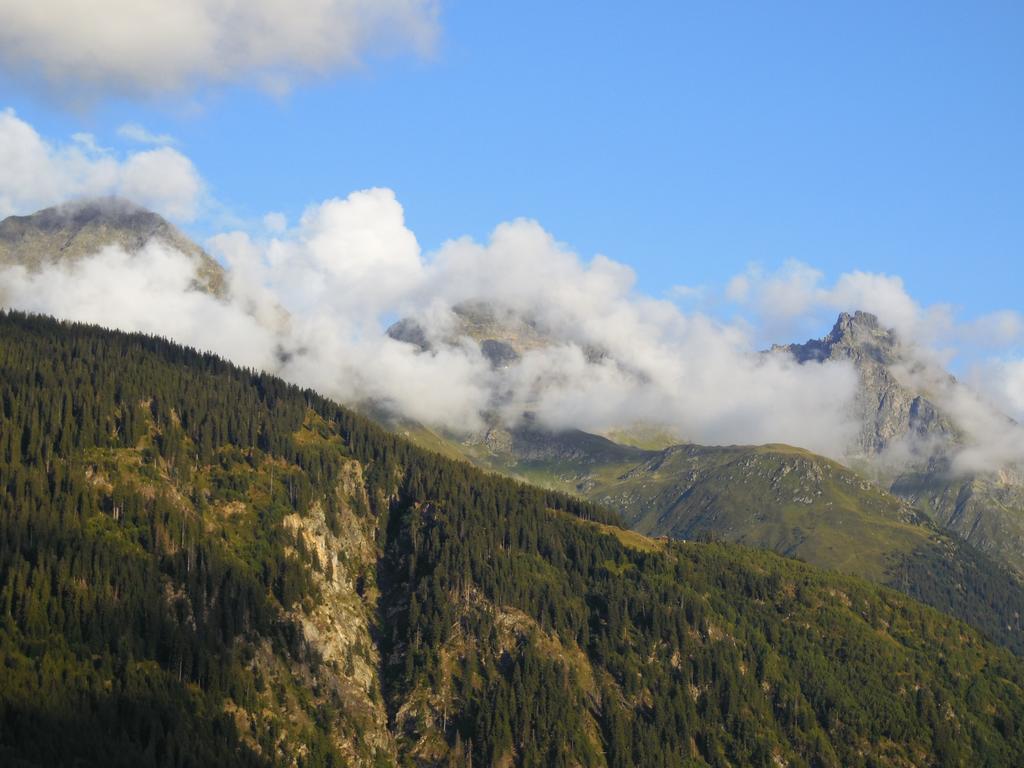 Hotel Pez Ault Disentis Bagian luar foto